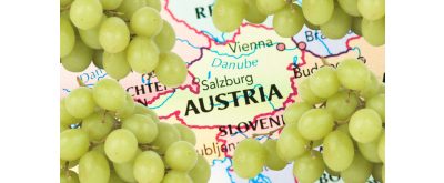 A Duna borai – ZÖLDVELTELINI