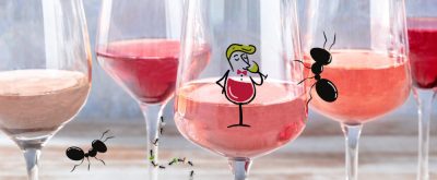   Egy 'Hangyál'nyi kóstoló: Kötetlen borkóstoló a Borháló Szegedben 2023.02.10. 15:30 órától zárásig