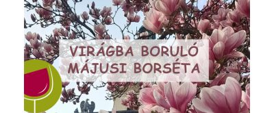 Virágba boruló májusi borséta 2025.05.10. 