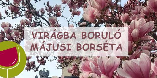 Virágba boruló májusi borséta 2025.05.10. 