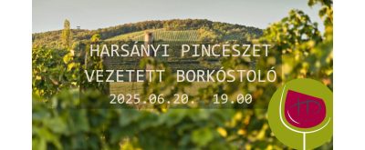 Harsányi Pincészet vezetett borkóstoló 2025.06.20.