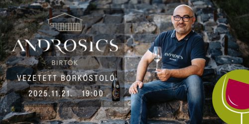 Androsics Birtok vezetett borkóstoló - pezsgőtől a késői szüretig- 2025.11.21.